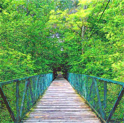 Thunder Bridge