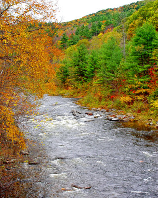 View from Otherside of the Bridge