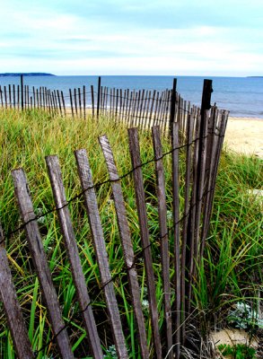 Typical Maine Scene