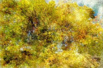 Image 6.jpg