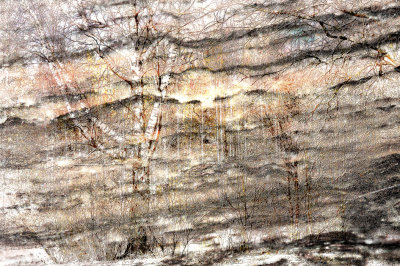 Image 4.jpg