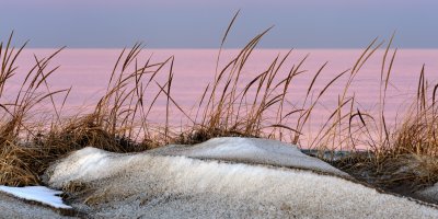 Beach grasses at sunset.jpg