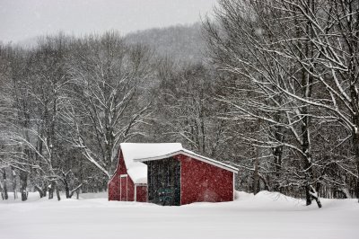 Red Barn.jpg