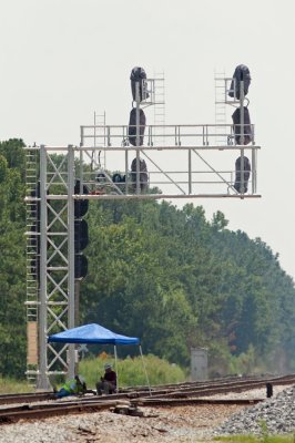 New Signal at N. Collier