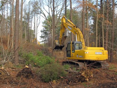 Clearing for the new bridge