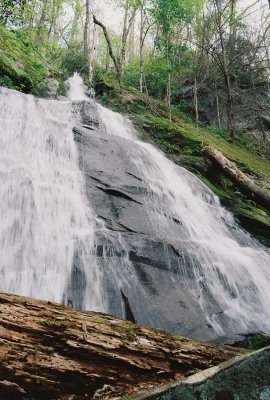 Fern Cliff Falls