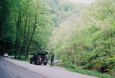  The well-traveled Subaru at Little River Gorge, a botanical paradise!