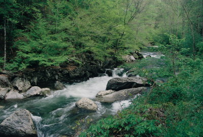 Pigeon River, Little River Gorge.