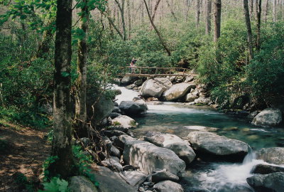 Another view of the bridge.