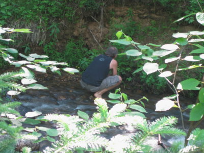 Tom searching a riverbank for the elusive Listera auriculata, accessible only from the stream! 7/3/11 (Johanna Nelson)