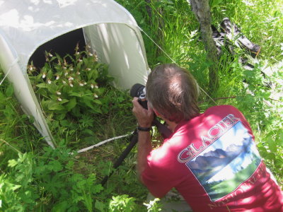 Tom photographing the mother of all clumps of Cypripedium montanum.  Waterton Nat'l Park 7/8/11 (Johanna Nelson)
