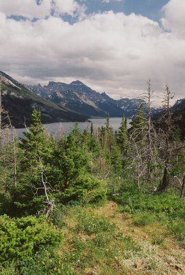 View of Waterton Lake from a hiking trail. 7/8/11