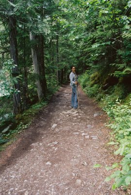 The trail winds through a beautiful western red cedar forest. 7/13/11
