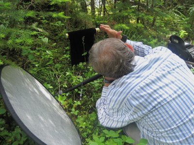 Tom utilizing a black velvet background to capture Listera cordata. (Johanna Nelson)  Berg Lake Trail,7/13/11