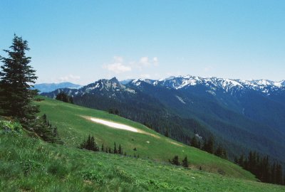 The view from the Hurricane Ridge Visitor's Center. Olympic Nat'l Park WA. 7/23/11