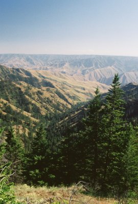View from  Wapshilla Ridge, looking into Hells Canyon, Idaho. 7/28/11