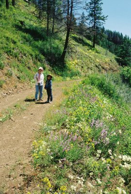 Elaine Queener and Christina on the hunt for Spiranthes porrifolia. Wapshilla Ridge, Hell's Canyon  Idaho7/28/11
