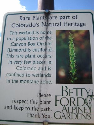 Sign at the P. tescamnis site. The species is also known as Limnorchis ensifolia. Edwards, Colorado 8/6/11
