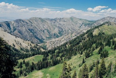 Upper Smithfield Canyon.