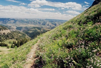 A well layed out trail.