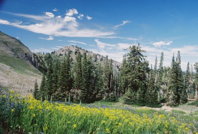 Mt. Elmer in the distance.