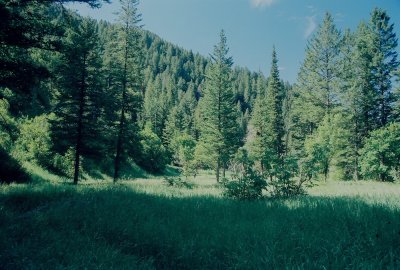 The trail starts in the rich verdure of the Right Hand Fork of Green Canyon.