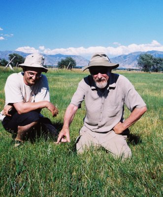 Local botanist Frank Buddy Smith points to the Spiranthes. This is the only known population in Cache Valley. 