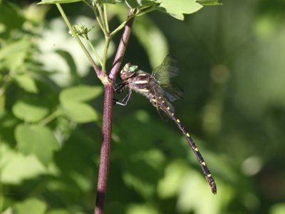 g4/08/900808/3/136222467.0nbRPS7b.jpg