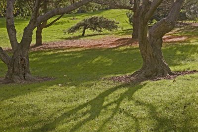 Holmdel Park
