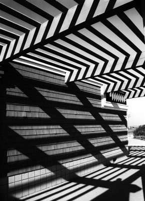 Shadows at Sandy Hook