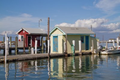 Dockside Shantys