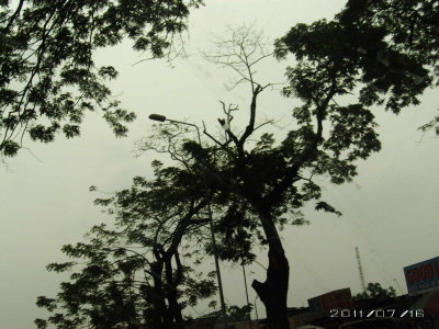 g4/08/977208/3/137043903.Xpi88wfi.jpg