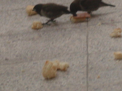 DSC00113.JPG