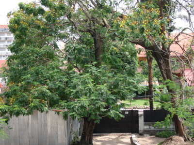 DSC02276.JPG