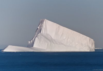 AntarcticFilm-102.jpg