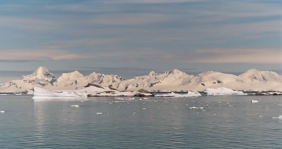 AntarcticFilm-335.jpg