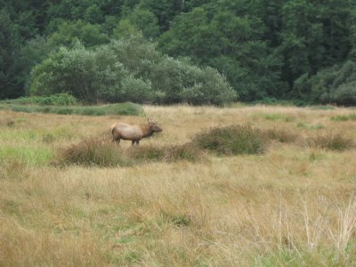 2011-09-13 13 054.JPG