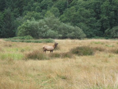2011-09-13 13 055.JPG