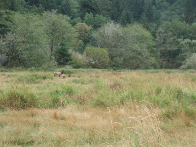 2011-09-13 13 056.JPG