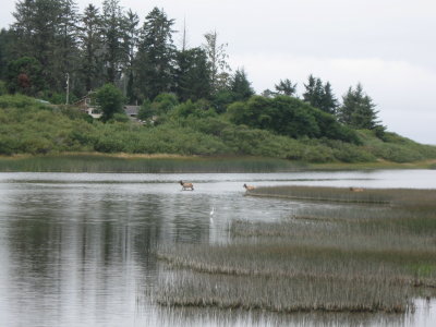2011-09-14 14 004.JPG