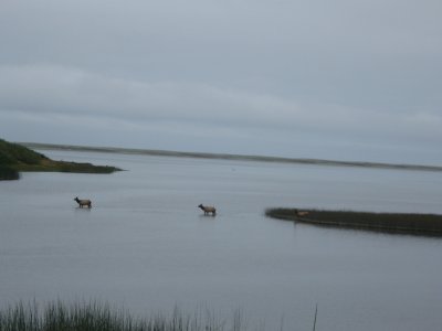 2011-09-14 14 005.JPG