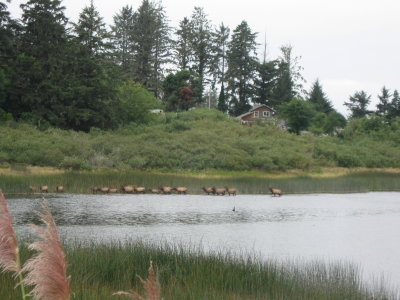 2011-09-14 14 006.JPG