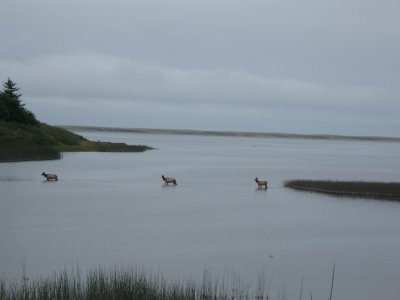 2011-09-14 14 007.JPG