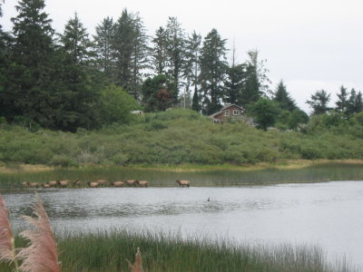 2011-09-14 14 008.JPG