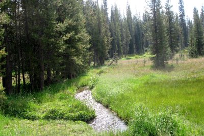 2011-09-09 9 024.JPG