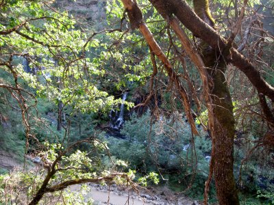 2011-09-10 10 139.JPG