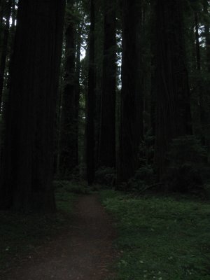 g4/09/1002009/3/138835779.RWVAu2fI.jpg