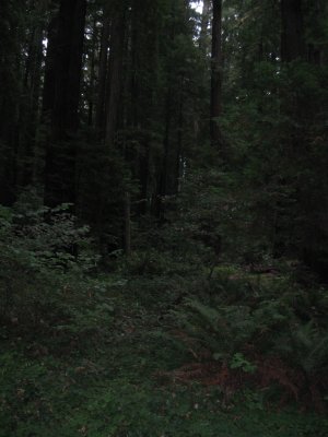 g4/09/1002009/3/138835780.I6HwH1f5.jpg