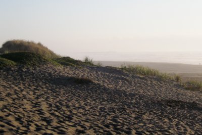 Samoa Dunes, north arm, mouth of Humboldt Ba