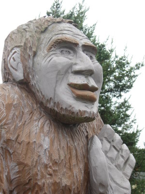Roadside Redwood Art